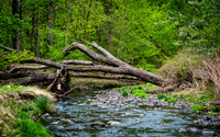Adventure Day - Clifton NJ - 2026
