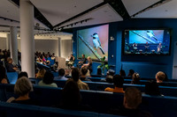 Simons Foundation Presents - Birds on the Brain - Simons Foundat