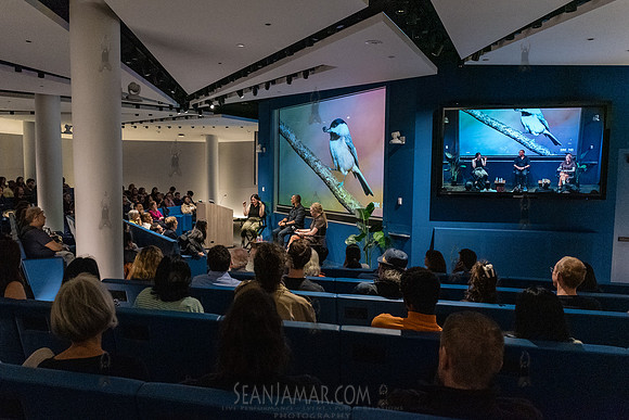 Simons Foundation Presents - Birds on the Brain - Simons Foundat