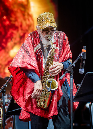 Sun Ra Arkestra - CPF SummerStage - Kim Gordon - Rumsey Playfiel