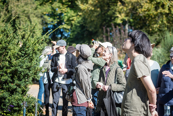 CPF Green Fund - NYC Bird Alliance Accessible Birding - Ft Tryon