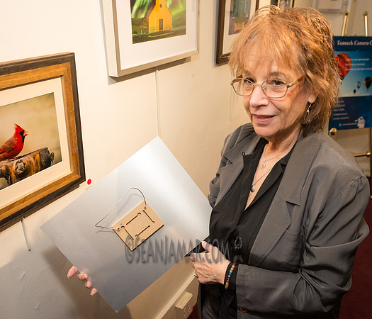 TCC - Through Our Eyes - Sandy Bennett Art Gallery - Bergen PAC - Englewood NJ - 2018