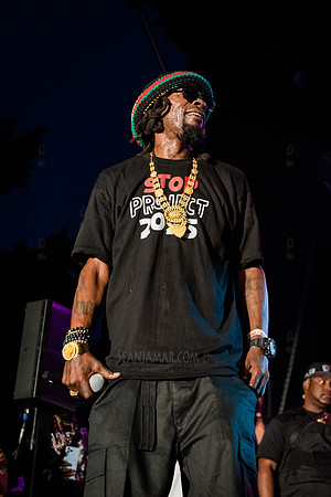 CPF SummerStage - Chuck Chillout 40th Radio Anniv - Crotona Park