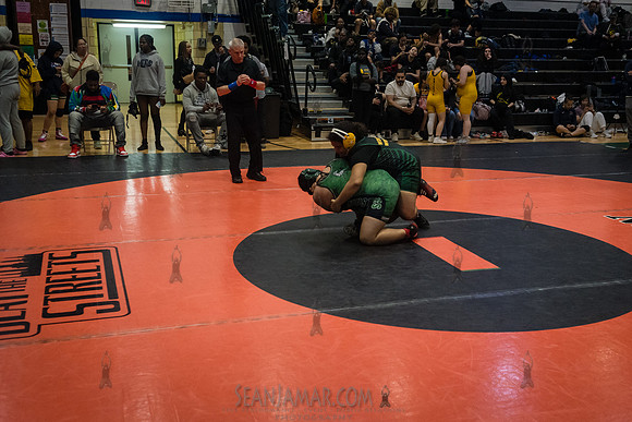 PSAL Girls Individual Championships - Harry S Truman HS - NYC -