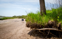 CPF Seeds 2 Trees - Marine Park - NYC - 2026