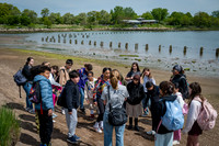 CPF Seeds 2 Trees - Marine Park - NYC - 2026