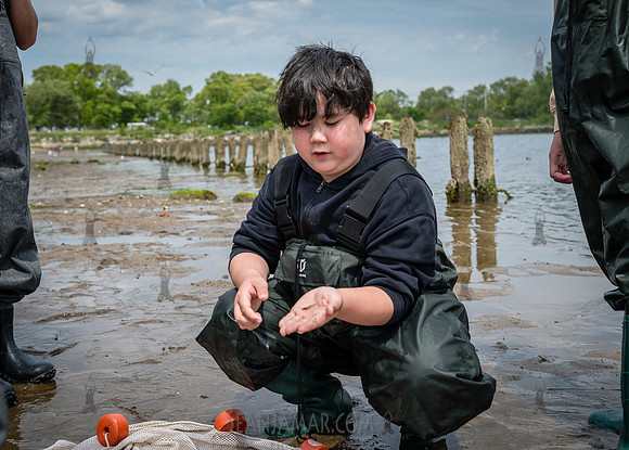 CPF Seeds 2 Trees - Marine Park - NYC - 2026