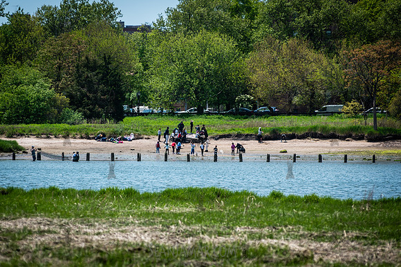 CPF Seeds 2 Trees - Marine Park - NYC - 2026
