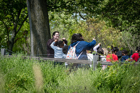 CPF Seeds 2 Trees - Marine Park - NYC - 2026