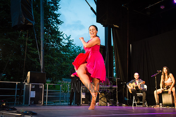 Nelida Tirado - Made in the Bronx presented by BAAD - St Marys Park - BX NYC - 2017