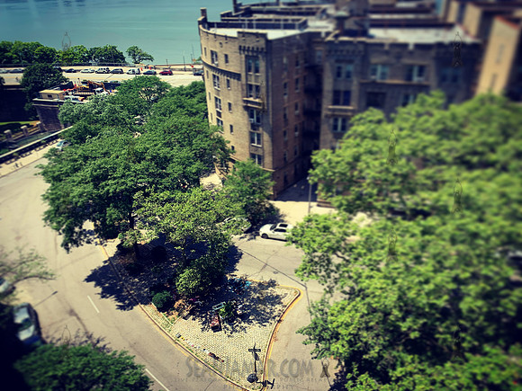 Washington Heights