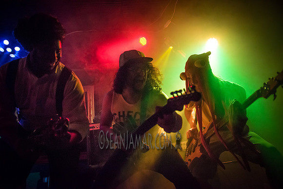 Water Seed - Fontanas - NYC - 2015