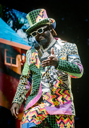 CPF SummerStage - T-Pains Mansion in Wiscansin Party - Rumsey Pl