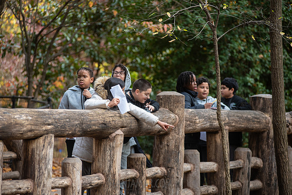 CPF Learn - Seeds To Trees - Prospect Park - NYC - 2024