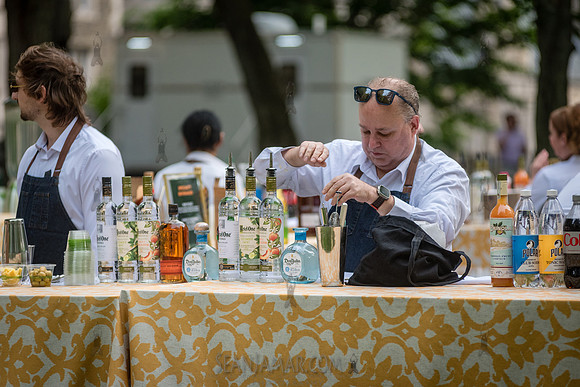 Riverside Park Conservancy - Riverside Revue - Sakura Park - NYC