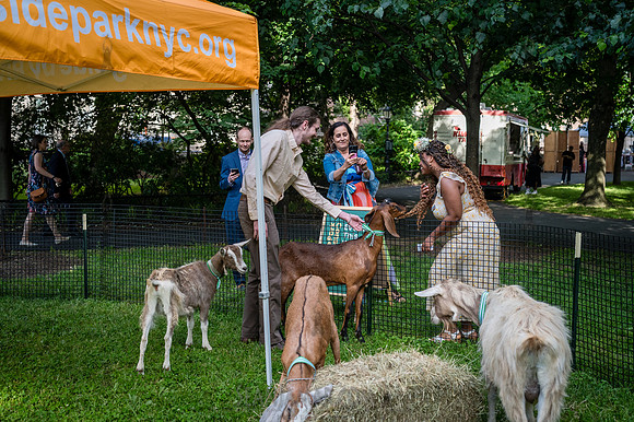 Riverside Park Conservancy - Riverside Revue - Sakura Park - NYC