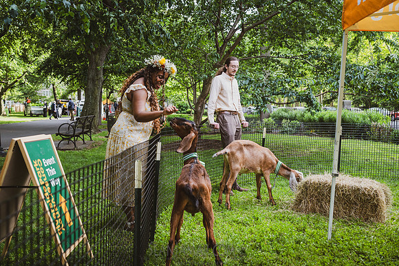 Riverside Park Conservancy - Riverside Revue - Sakura Park - NYC