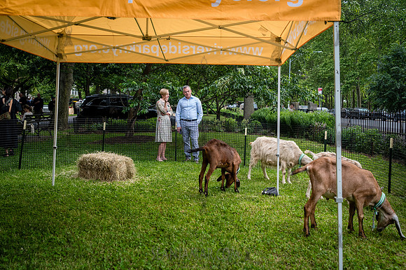 Riverside Park Conservancy - Riverside Revue - Sakura Park - NYC