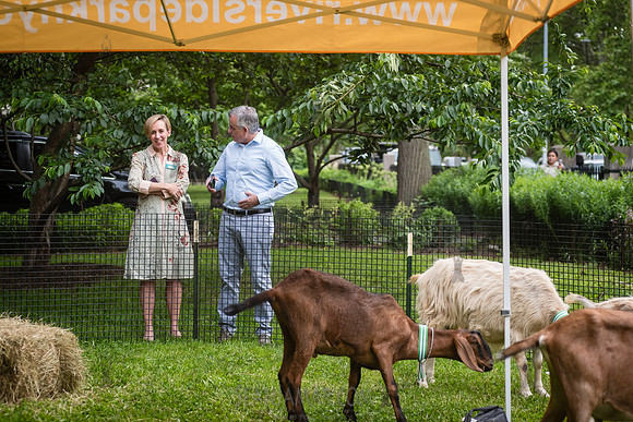 Riverside Park Conservancy - Riverside Revue - Sakura Park - NYC