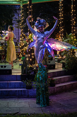 Riverside Park Conservancy - Riverside Revue - Sakura Park - NYC