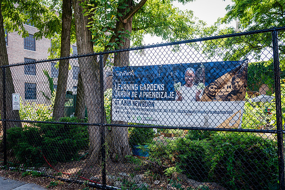 CPF Learning Gardens - Abib Newborn - NYC -2025