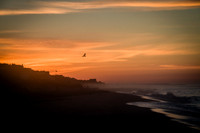 Montauk NY - 2026