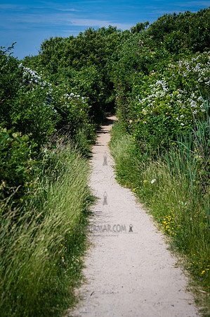 Montauk NY - 2026