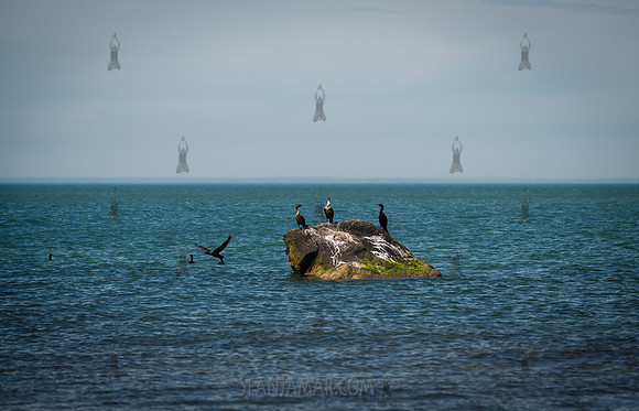 Montauk NY - 2026
