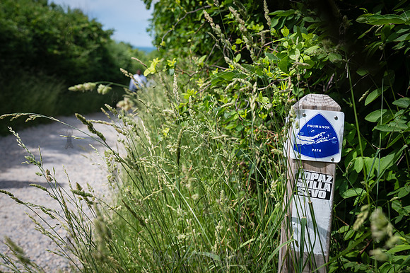 Montauk NY - 2026