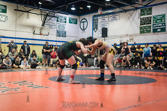 PSAL Girls Individual Championships - Harry S Truman HS - NYC -