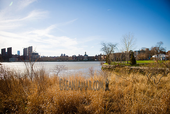 Adventure Day - Randalls Island -  NYC - 2017