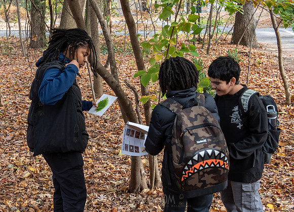 CPF Learn - Seeds To Trees - Prospect Park - NYC - 2024