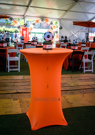 CPF SummerStage Venue Rental - PWC World Cup Festival - Rumsey P