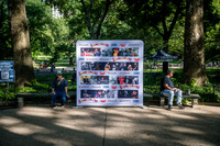 NYC SummerStage - Juneteenth Celebration - Rumsey Playfield - NY
