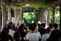 NYC SummerStage - Black Country New Road - Rumsey Playfield - NY