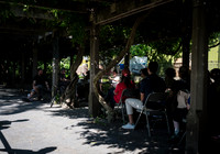 NYC SummerStage - Black Country New Road - Rumsey Playfield - NY