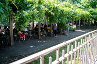 NYC SummerStage - Black Country New Road - Rumsey Playfield - NY