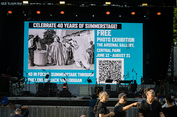 NYC SummerStage - Laurie Anderson - Rumsey Playfield - NYC - 202