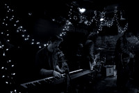 Hollis Brown - Bowery Electric - NYC - 2014