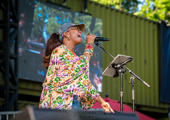 NYC SummerStage - Shabaka - Rumsey Playfield - NYC - 2026