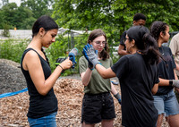 NYC Green Fund - Van Cortlandt Park Alliance Intern Training - V