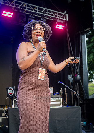 NYC SummerStage - Duck Down BBQ - Von King Park - NYC - 2026