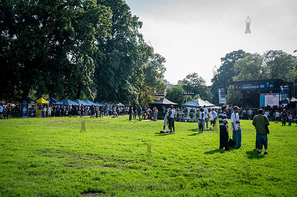 NYC SummerStage - Mikes Young World - Von King Park - NYC - 2026