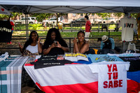 NYC SummerStage - Mikes Young World - Von King Park - NYC - 2026