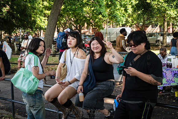 NYC SummerStage - Mikes Young World - Von King Park - NYC - 2026