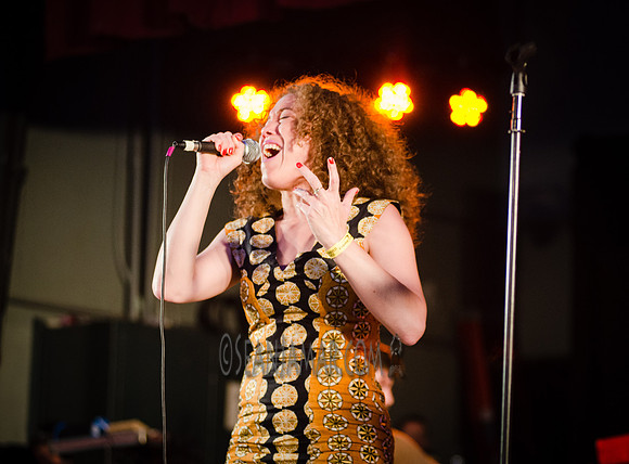 Kendra Foster - Soul In The Horn Summer Stage - Herbert von King Park - BK USA - 2016
