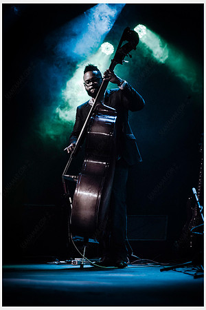 Raul Midon Trio - Highline Ballroom - NYC - 2017