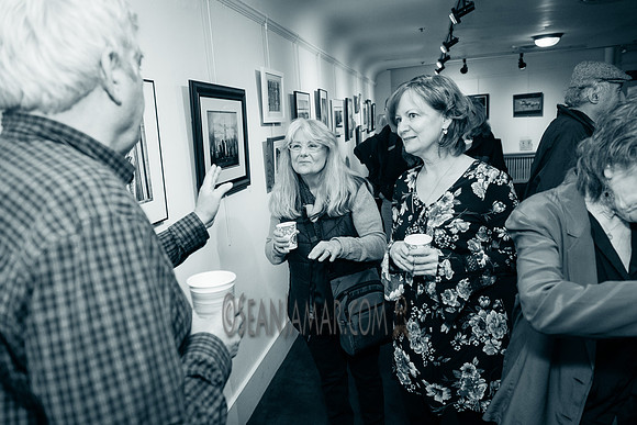 TCC - Through Our Eyes - Sandy Bennett Art Gallery - Bergen PAC - Englewood NJ - 2018