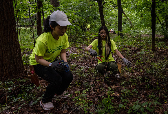 NYC Green Fund - Van Cortlandt Park Alliance Intern Training - V