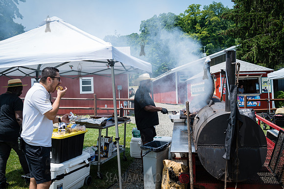 Arup - Company Picnic - Gate Hill Day Camp - Stony Point NY - 20